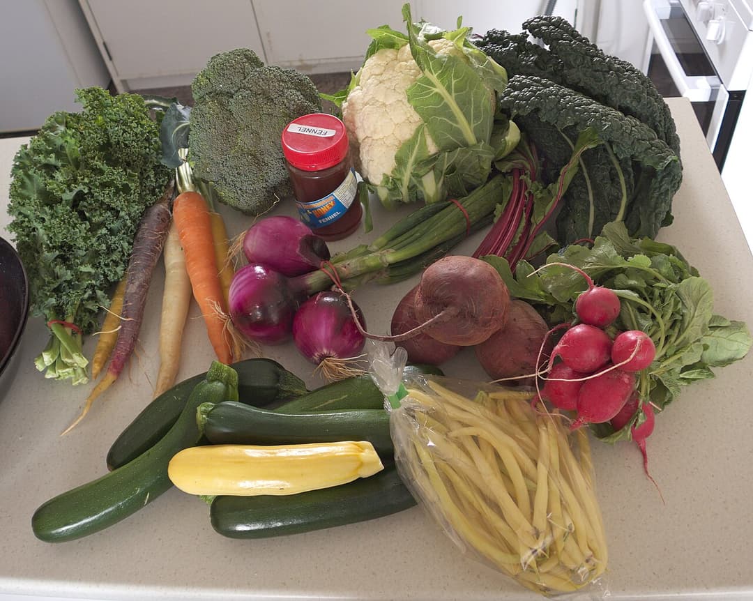 Assortiment de légumes : carottes, radis, courgettes, betteraves et choux ; photographie d’illustration.