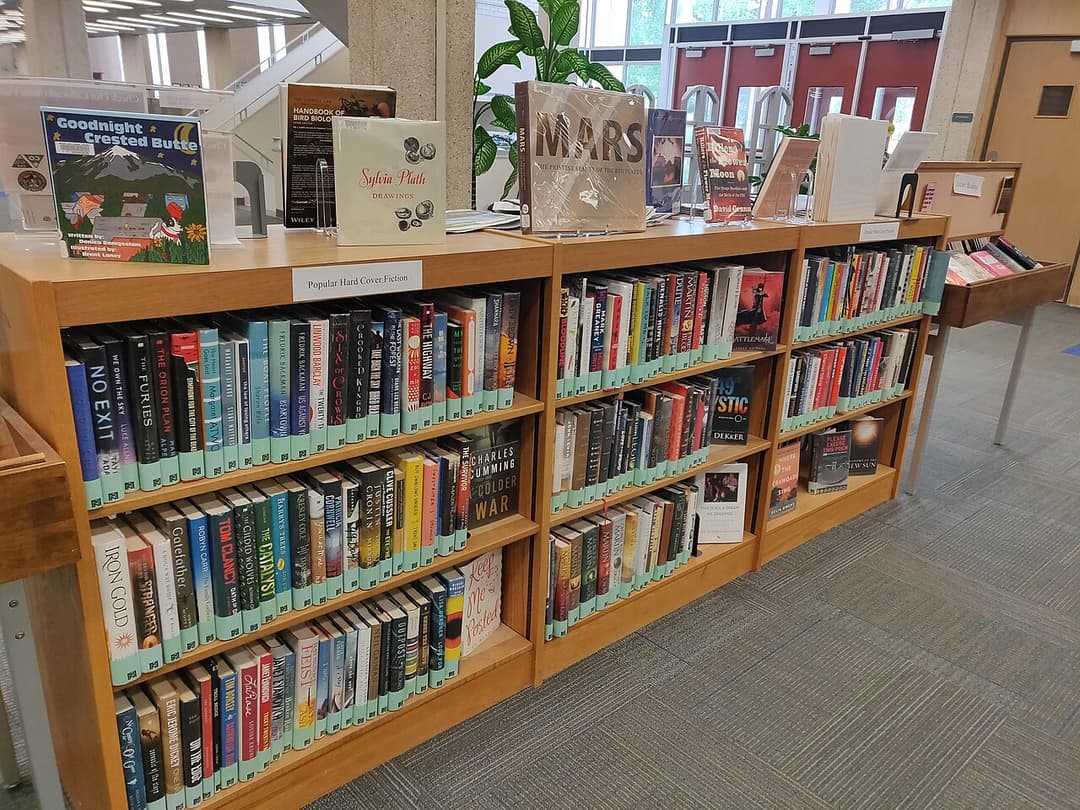 Livres disposés sur des étagères et présentoirs dans une bibliothèque ; photographie d’illustration.